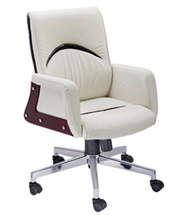 ceo-chair