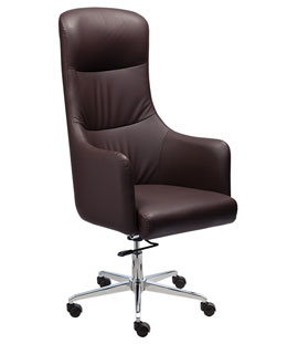 ceo-chair